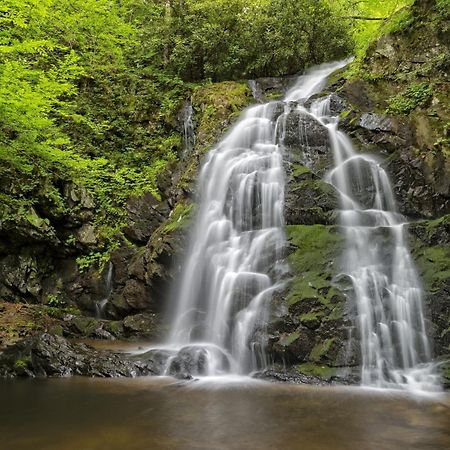 Her Majesty'S Way, Awesome Mtn Views, 1089 Free Tickets Each Paid Day, Dollywood And More 蓋特林堡 外观 照片