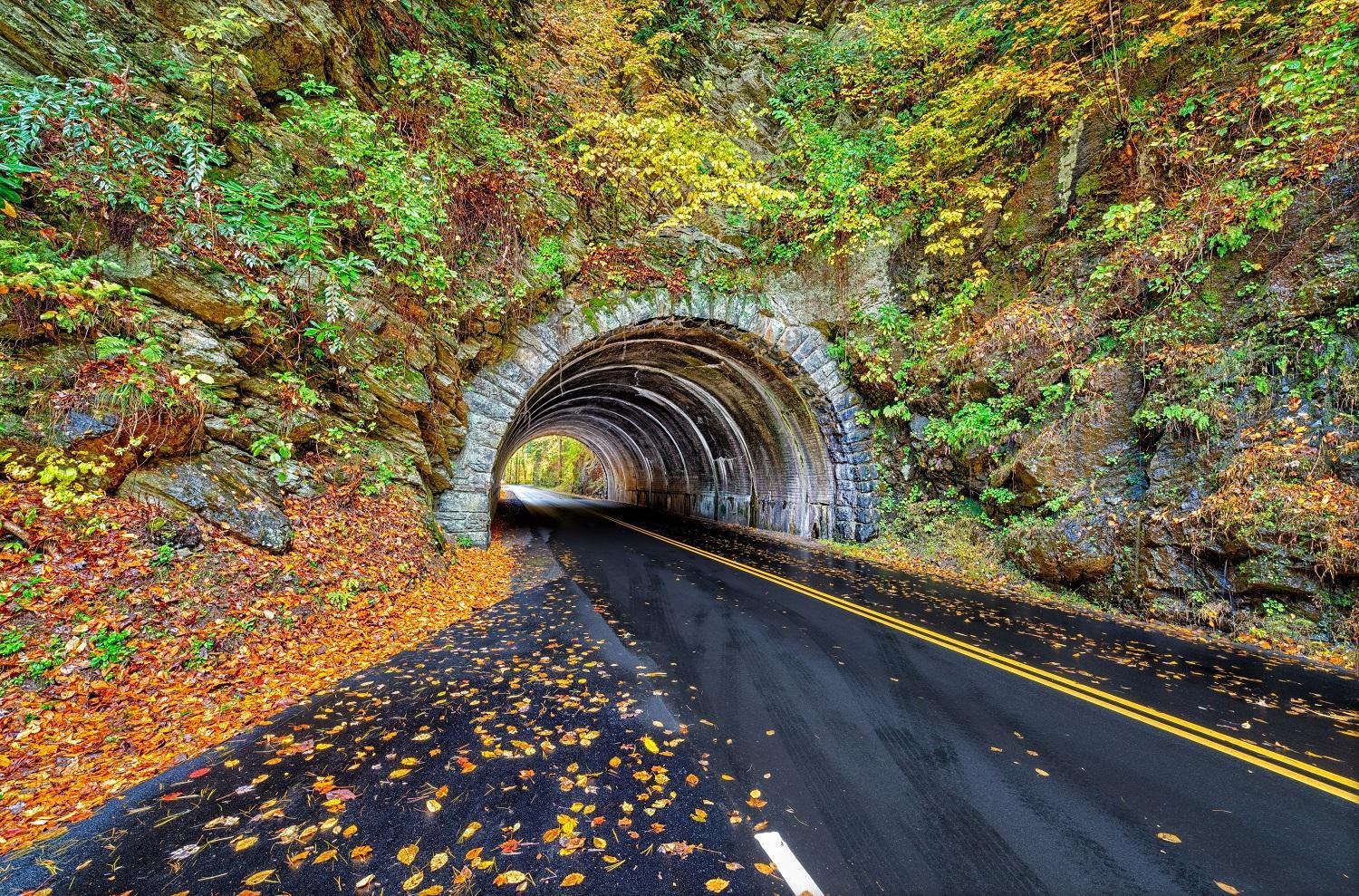 Her Majesty'S Way, Awesome Mtn Views, 1089 Free Tickets Each Paid Day, Dollywood And More 蓋特林堡 外观 照片