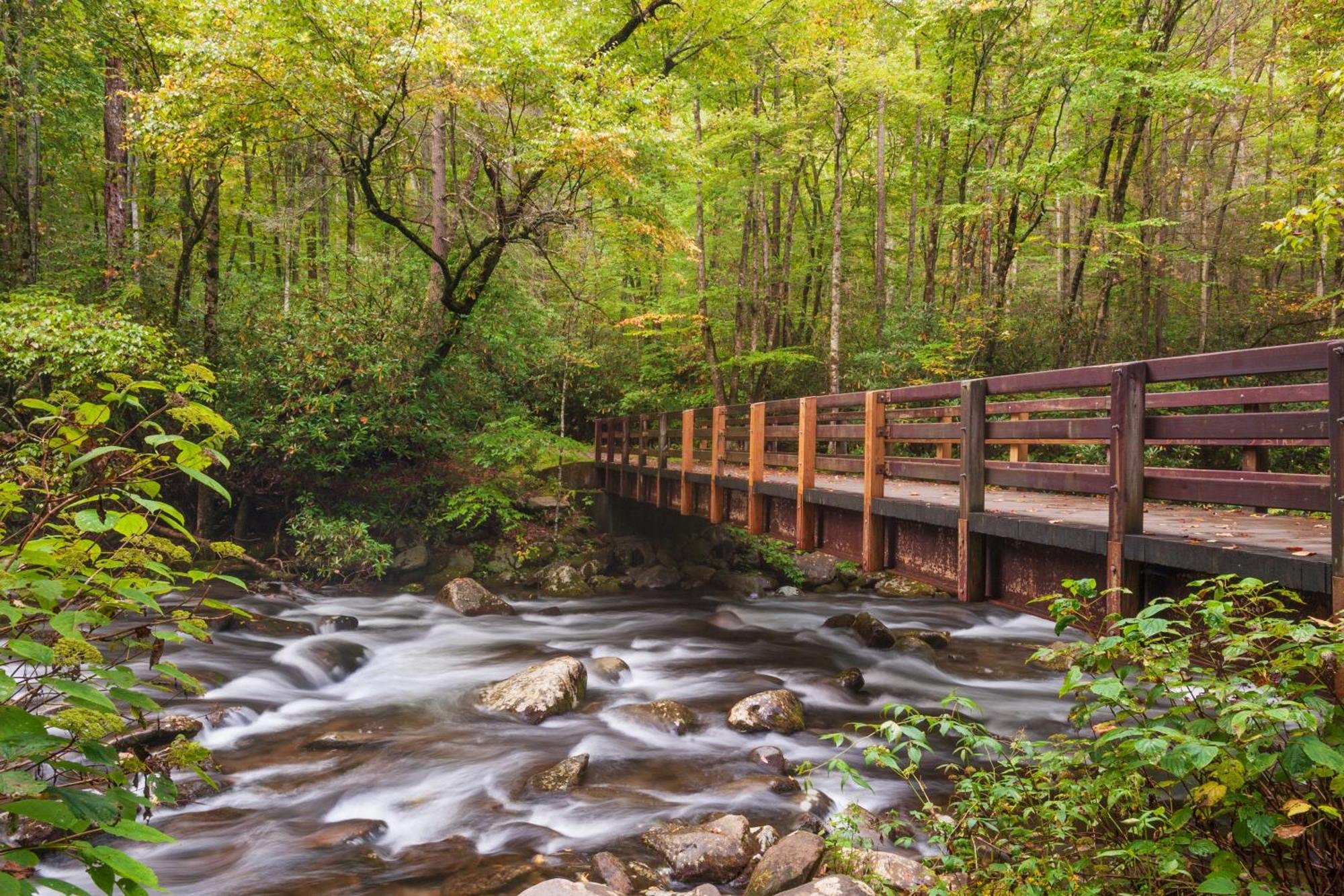 Her Majesty'S Way, Awesome Mtn Views, 1089 Free Tickets Each Paid Day, Dollywood And More 蓋特林堡 外观 照片